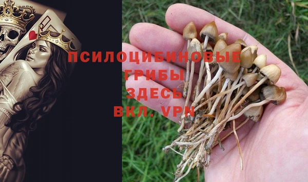 меф Коряжма