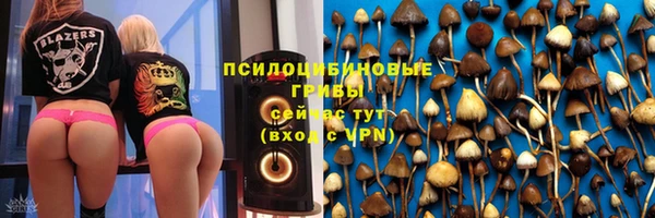 спиды Костерёво