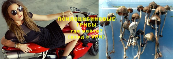 спиды Костерёво